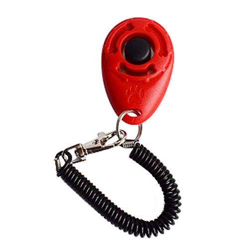 1 Stück Dog Pet Click Clicker Training Trainer Hilfe Handschlaufe FOp40 (Red, One Size) von Clicitina