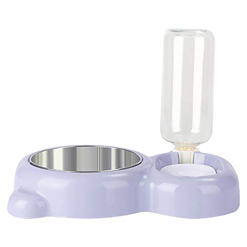 Clicitina Bowl Function Bowl Bear Stainless Bowl Cat Food Cat Dog Pet Multi Dog Steel Cat Pet Supplies Bvs89 (Purple, One Size) von Clicitina