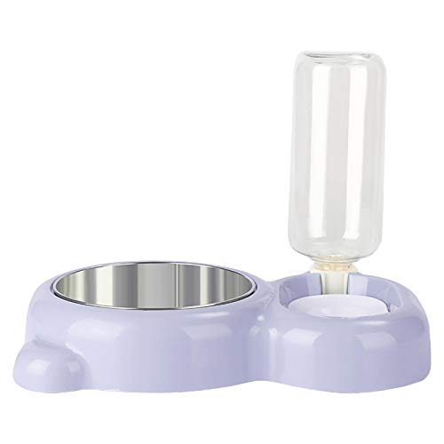 Clicitina Bowl Function Bowl Bear Stainless Bowl Cat Food Cat Dog Pet Multi Dog Steel Cat Pet Supplies UW661 (Purple, One Size) von Clicitina