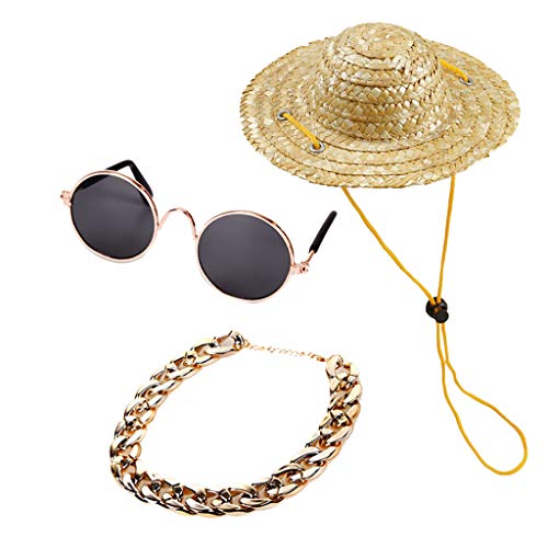 Clicitina Katze Halskette 3PC Dekoration Sonnenbrille Haustier Set Zubehör Hundezubehör Haustierzubehör FOp99 (Gold, One Size) von Clicitina