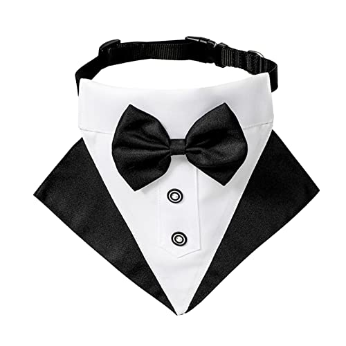 Clicitina Verstellbares Halsband für Hunde, Hundehalsband mit schwarzer Krawatte, Hochzeit, formelle Hundehalsbänder für kleine, mittelgroße Hunde und Haustiere DB356 (Black-c, M) von Clicitina