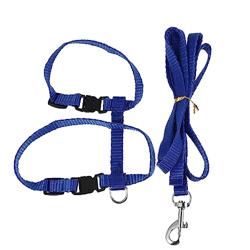 Set Leine und Geschirr für Katzen zum Spazierengehen. Robuste Kombination Brustgurt und Leine für Haustiere, ideal für Outdoor-Abenteuer. Beschreibung UyB526 (Blue, One Size) von Clicitina