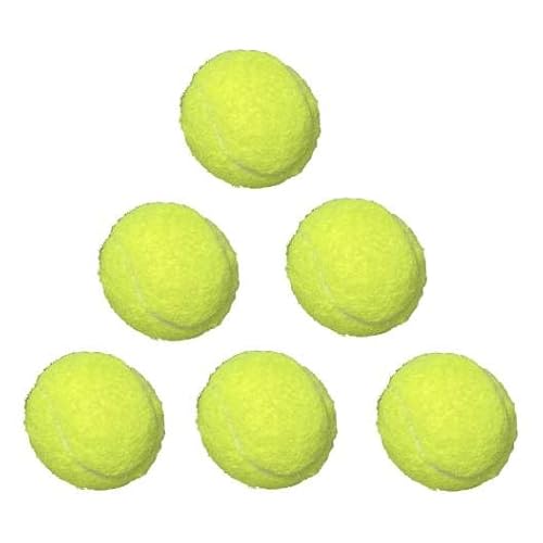 Climsom | Set mit 6 Minibällen für Ballouf Ballwurfmaschine | 5 cm Durchmesser, ohne Chemikalien, speziell für den automatischen Ballouf Ballwerfer abgestimmt Climsom | Set mit 6 Minibällen für Ballouf Ballwurfmaschine | 5 cm Durchmesser, ohne Chemikalien, speziell für den automatischen Ballouf Ballwerfer abgestimmt von Climsom