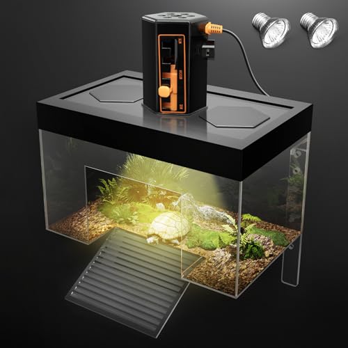 Clioran Kleine Schildkröten-Sonnenplattform mit Licht Clioran Kleine Schildkröten-Sonnenplattform mit Licht von Clioran