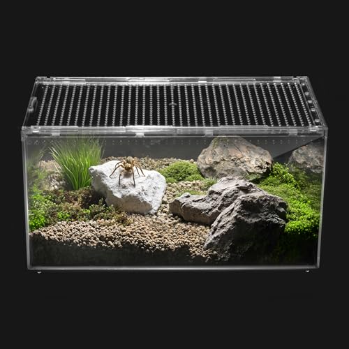 Reptilien-PC-Terrarium, Spinnen-Tank-Starterset, Leoparden-Gecko-Behälter, Vogelspinnenkäfig, Einsiedlerkrebs-Lebensraum, Eidechsengehege, Insektenhaus, Springspinnengehege, kleines Bartagamenviarium Reptilien-PC-Terrarium, Spinnen-Tank-Starterset, Leoparden-Gecko-Behälter, Vogelspinnenkäfig, Einsiedlerkrebs-Lebensraum, Eidechsengehege, Insektenhaus, Springspinnengehege, kleines Bartagamenviarium von Clioran