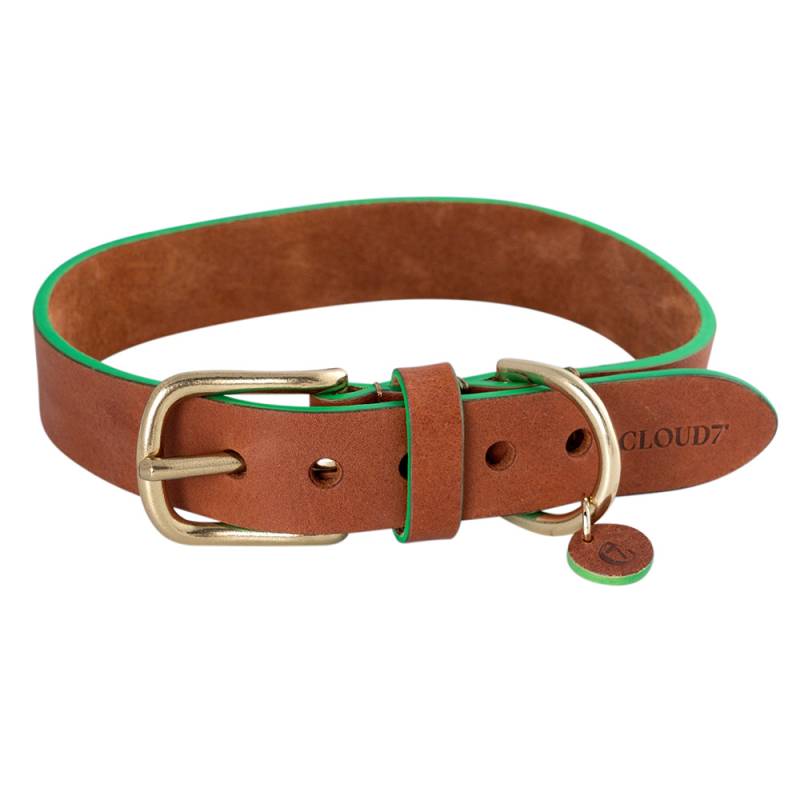 Cloud7® Hundehalsband Kings Park cognac/green, Gr. M, Breite: ca. 2 cm, Halsumfang: ca. 30 - 38 cm von Cloud7®