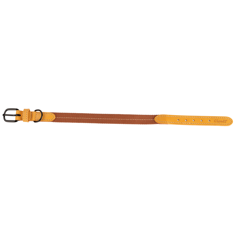 Cloud7® Hundehalsband Madeira ginger, Gr. M, Breite: ca. 2 cm, Halsumfang: ca. 32 - 38 cm von Cloud7®