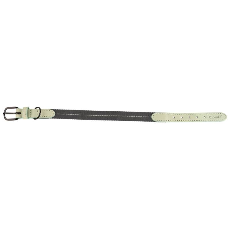 Cloud7® Hundehalsband Madeira mint, Gr. M, Breite: ca. 2 cm, Halsumfang: ca. 32 - 38 cm von Cloud7®
