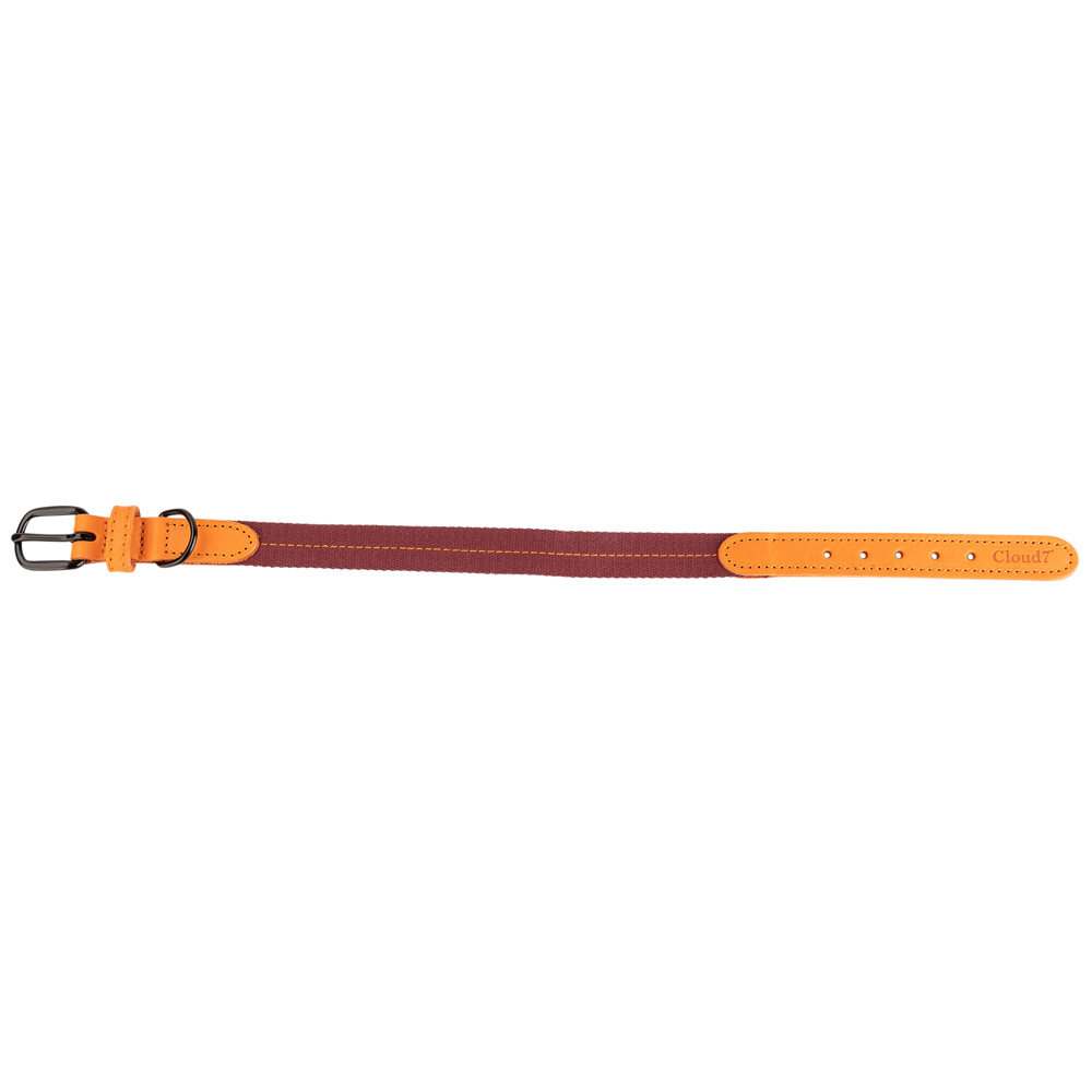 Cloud7® Hundehalsband Madeira papaya, Gr. L, Breite: ca. 2,5 cm, Halsumfang: ca. 35 - 43 cm von Cloud7®