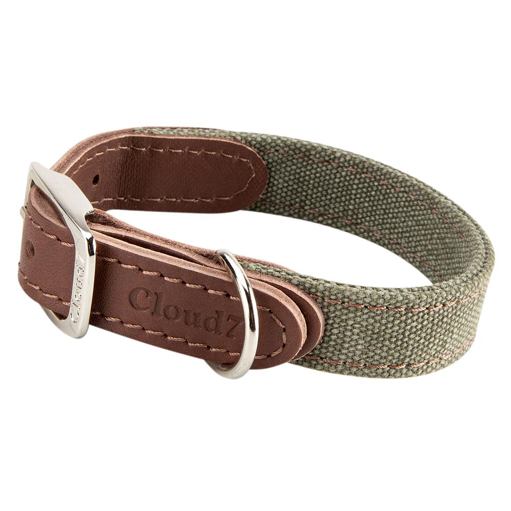 Cloud7® Hundehalsband Tivoli oliv, Gr. L, Breite: ca. 2,5 cm, Halsumfang: ca. 36 - 44 cm von Cloud7®