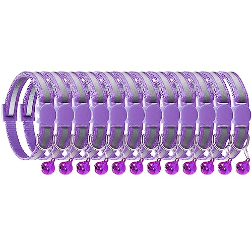 Cluos Reflektierende Katzenhalsbänder, Schnellverschluss, mit Glocke, Sicherheits-Nylon, verstellbar, 19–32 cm, Hellviolett, 12 Stück Cluos Reflektierende Katzenhalsbänder, Schnellverschluss, mit Glocke, Sicherheits-Nylon, verstellbar, 19–32 cm, Hellviolett, 12 Stück von Cluos