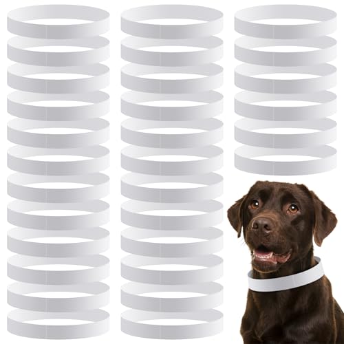 Clysee Hundehalsbänder, wasserdicht, mit reißfestem Papier, für Welpen, Ausweishalsbänder, selbstklebend, für Neugeborene, Hunde, Katzen, Tierkrankenhäuser, 500 Stück, 500 Stück Clysee Hundehalsbänder, wasserdicht, mit reißfestem Papier, für Welpen, Ausweishalsbänder, selbstklebend, für Neugeborene, Hunde, Katzen, Tierkrankenhäuser, 500 Stück, 500 Stück von Clysee
