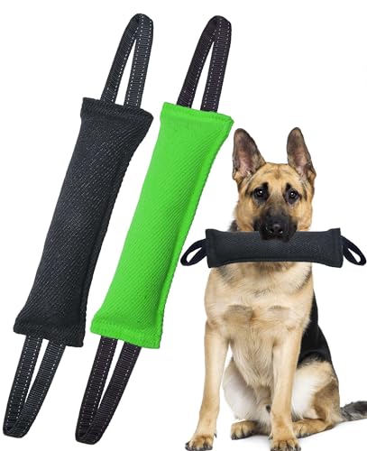 Clysoru Hundespielzeug für Hunde, Doppelpack, robustes Jute-Beißkissen (Schwarz / Grün) von Clysoru