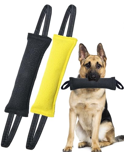 Clysoru Hundespielzeug für Hunde, Doppelpack, robustes Jute-Beißkissen. von Clysoru