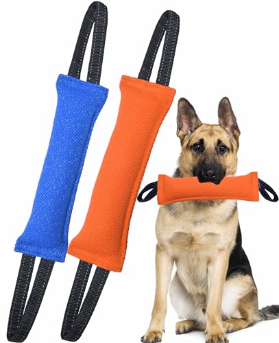 Clysoru Hundespielzeug für Hunde, Doppelpack, robustes Jute-Bisskissen, Trainingsgerät – interaktives Spielzeug für Welpen bis große Hunde. von Clysoru