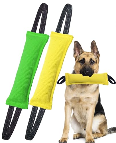 Clysoru Hundespielzeug für Hunde, Doppelpack, robustes Jute-Bisskissen, Trainingsgerät – interaktives Spielzeug für Welpen bis große Hunde. von Clysoru