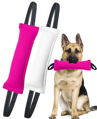 Clysoru Hundespielzeug für Hunde, Doppelpack, robustes Jute-Bisskissen, Trainingsgerät – interaktives Spielzeug für Welpen bis große Hunde. Clysoru Hundespielzeug für Hunde, Doppelpack, robustes Jute-Bisskissen, Trainingsgerät – interaktives Spielzeug für Welpen bis große Hunde. von Clysoru