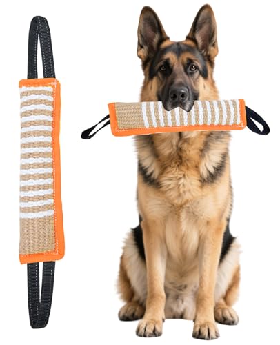 Clysoru Zerrspielzeug für Hunde (Orange, Welpe) von Clysoru