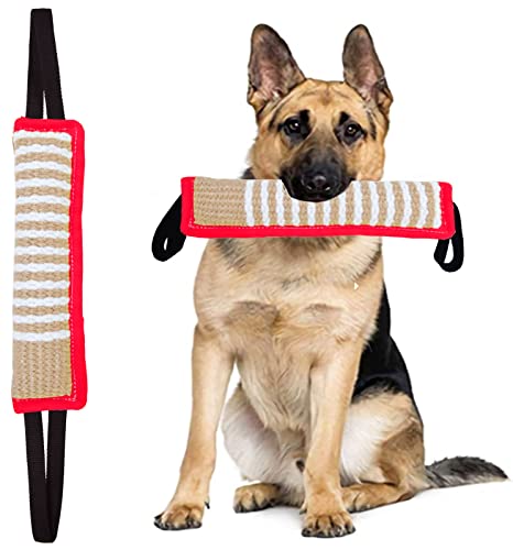 Clysoru Zerrspielzeug für Hunde Jute Bissfestes Kissen - Dauerhaftes Trainingsgerät Welpen bis große Hunde Interaktives Spielzeug mit 2 starken Griffen Clysoru Zerrspielzeug für Hunde Jute Bissfestes Kissen - Dauerhaftes Trainingsgerät Welpen bis große Hunde Interaktives Spielzeug mit 2 starken Griffen von Clysoru
