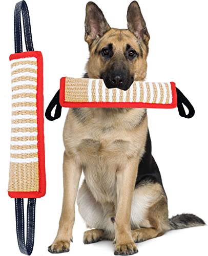 Clysrou Hundespielzeug für Hunde, robustes Jute-Beißkissen – langlebig, Trainingsgerät – interaktives Spielzeug für Welpen bis große Hunde. von Clysrou
