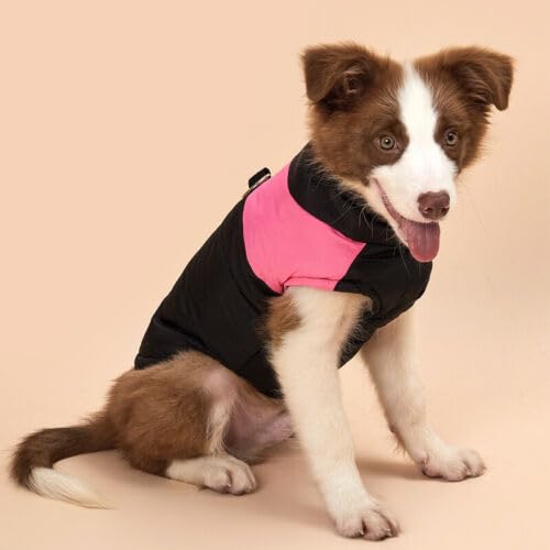 Neue wasserdichte Weste für Hunde und Welpen, warme Winterkleidung, gepolsterter Outdoor-Mantel, Weste, Skianzug mit D-Ring für kleine, mittelgroße und große Hunde Neue wasserdichte Weste für Hunde und Welpen, warme Winterkleidung, gepolsterter Outdoor-Mantel, Weste, Skianzug mit D-Ring für kleine, mittelgroße und große Hunde von Cmeilau
