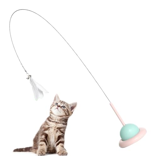 Interaktives Katzenspielzeug, automatisches Katzenspielzeug mit Glocken, Katzenspielzeug für Innenkatzen, Katzenspielzeug, automatisches Teaser -Katzenspielzeug, Katzenspielzeug robustes Spielstab Interaktives Katzenspielzeug, automatisches Katzenspielzeug mit Glocken, Katzenspielzeug für Innenkatzen, Katzenspielzeug, automatisches Teaser -Katzenspielzeug, Katzenspielzeug robustes Spielstab von Cndiyald