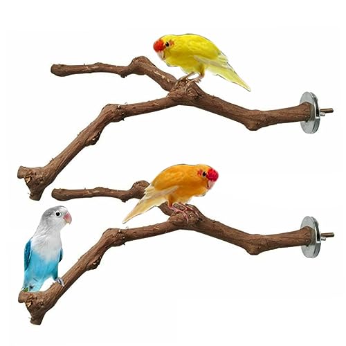 Papageienständer Barsch Vogel stehend Stick natürliche stehende Zweige für Vogelkäfigspielzeug 2pcs Barches von Cndiyald