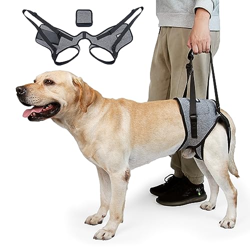 CNEO Dog Lift Harness, Dog Sling for Medium Large Dogs, Adjustable Dog Support Harness for Back Legs, Comfy Design Pet Harness with Padded for Elderly, Injured, Arthritic, Senior, Disabled Dogs von Cneo