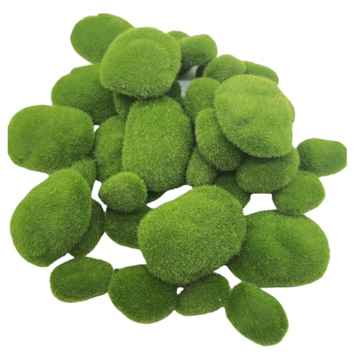 Cnrfeoap 40 Stück Künstliche Moossteine Landschaft Dekoration für Aquarium Terrarium Handwerk Projekte Keine Wartung Terrarium Steine Cnrfeoap 40 Stück Künstliche Moossteine Landschaft Dekoration für Aquarium Terrarium Handwerk Projekte Keine Wartung Terrarium Steine von Cnrfeoap