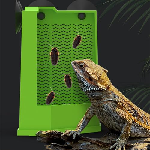 Cnrfeoap Eck-Futterstation für Reptilien mit Saugnäpfen, Wandmontage, Terrarien, Futternapf für Eidechsen, Haustierbedarf Cnrfeoap Eck-Futterstation für Reptilien mit Saugnäpfen, Wandmontage, Terrarien, Futternapf für Eidechsen, Haustierbedarf von Cnrfeoap