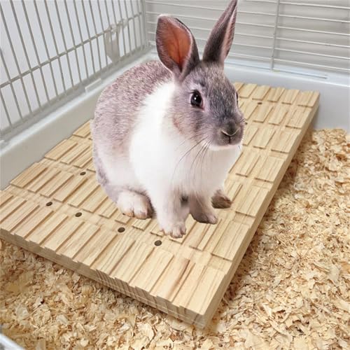 Cnrfeoap Hamsterbrett Kratzbrett Kaninchen Schleifspielzeug Holzfüße Pad für Hamster für Rennmäuse Molar Spielzeug Kratzer Cnrfeoap Hamsterbrett Kratzbrett Kaninchen Schleifspielzeug Holzfüße Pad für Hamster für Rennmäuse Molar Spielzeug Kratzer von Cnrfeoap
