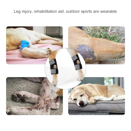 Cnrfeoap Kniebandage für Hunde, regulierbar, elastisch, für ältere Haustiere von Cnrfeoap