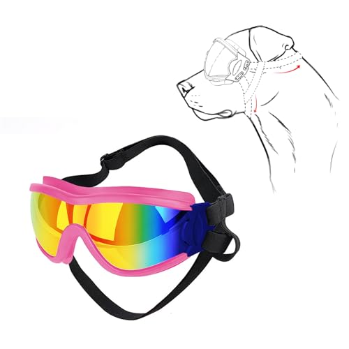 Hunde Katzen Haustier Radfahren Brillen Haustier Reflexion Brille für kleine Hunde Katzen Haustier Sportzubehör von Cnrfeoap