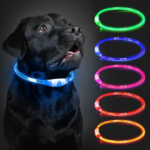 Leuchthalsband Hund Aufladbar, 70cm LED Hundehalsband Leuchtend mit 3 Lichtmodi in der Nacht Sicherheit für Kleine, Mittlere und Große Hunde Leuchthalsband, Blau Leuchthalsband Hund Aufladbar, 70cm LED Hundehalsband Leuchtend mit 3 Lichtmodi in der Nacht Sicherheit für Kleine, Mittlere und Große Hunde Leuchthalsband, Blau von CoCoDonut