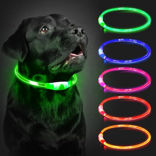 Leuchthalsband Hund Aufladbar, 70cm LED Hundehalsband Leuchtend mit 3 Lichtmodi in der Nacht Sicherheit für Kleine, Mittlere und Große Hunde Leuchthalsband, Grün Leuchthalsband Hund Aufladbar, 70cm LED Hundehalsband Leuchtend mit 3 Lichtmodi in der Nacht Sicherheit für Kleine, Mittlere und Große Hunde Leuchthalsband, Grün von CoCoDonut