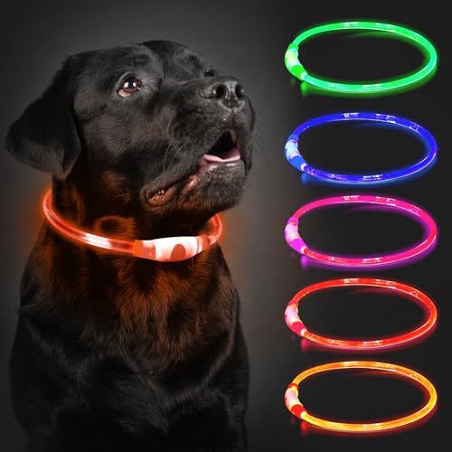 Leuchthalsband Hund Aufladbar, 70cm LED Hundehalsband Leuchtend mit 3 Lichtmodi in der Nacht Sicherheit für Kleine, Mittlere und Große Hunde Leuchthalsband, Orange Leuchthalsband Hund Aufladbar, 70cm LED Hundehalsband Leuchtend mit 3 Lichtmodi in der Nacht Sicherheit für Kleine, Mittlere und Große Hunde Leuchthalsband, Orange von CoCoDonut