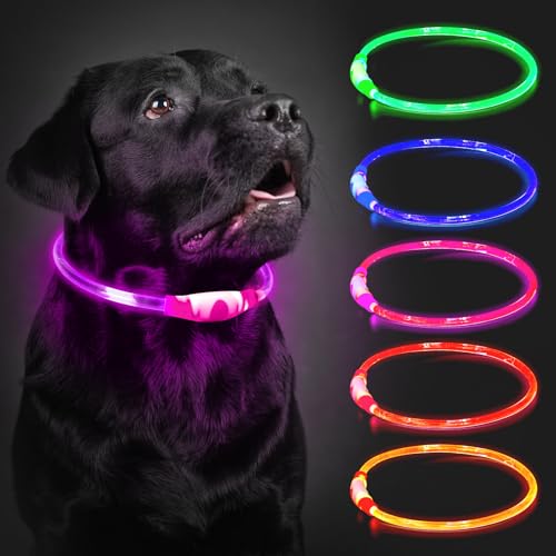 Leuchthalsband Hund Aufladbar, 70cm LED Hundehalsband Leuchtend mit 3 Lichtmodi in der Nacht Sicherheit für Kleine, Mittlere und Große Hunde Leuchthalsband, Rosa Leuchthalsband Hund Aufladbar, 70cm LED Hundehalsband Leuchtend mit 3 Lichtmodi in der Nacht Sicherheit für Kleine, Mittlere und Große Hunde Leuchthalsband, Rosa von CoCoDonut