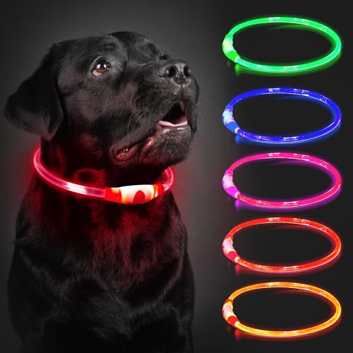 Leuchthalsband Hund Aufladbar, 70cm LED Hundehalsband Leuchtend mit 3 Lichtmodi in der Nacht Sicherheit für Kleine, Mittlere und Große Hunde Leuchthalsband, Rot Leuchthalsband Hund Aufladbar, 70cm LED Hundehalsband Leuchtend mit 3 Lichtmodi in der Nacht Sicherheit für Kleine, Mittlere und Große Hunde Leuchthalsband, Rot von CoCoDonut