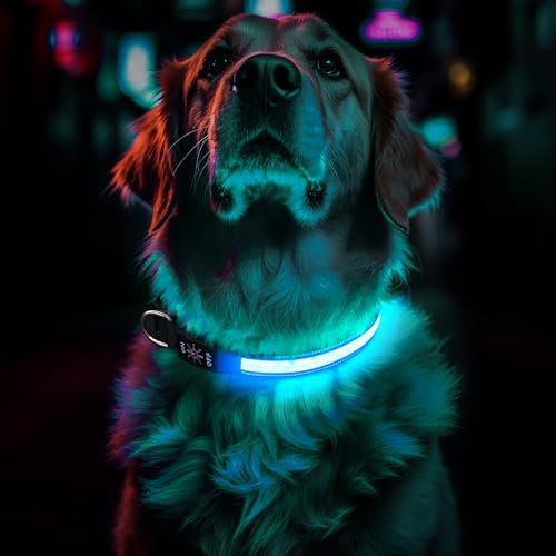 Leuchthalsband Hund Aufladbar, Einstellbare LED Hundehalsband Leuchtend mit 3 Lichtmodi in der Nacht Sicherheit für Kleine, Mittlere und Große Hunde Leuchthalsband, Blau, L Leuchthalsband Hund Aufladbar, Einstellbare LED Hundehalsband Leuchtend mit 3 Lichtmodi in der Nacht Sicherheit für Kleine, Mittlere und Große Hunde Leuchthalsband, Blau, L von CoCoDonut