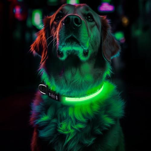 Leuchthalsband Hund Aufladbar, Einstellbare LED Hundehalsband Leuchtend mit 3 Lichtmodi in der Nacht Sicherheit für Kleine, Mittlere und Große Hunde Leuchthalsband, Grün, L Leuchthalsband Hund Aufladbar, Einstellbare LED Hundehalsband Leuchtend mit 3 Lichtmodi in der Nacht Sicherheit für Kleine, Mittlere und Große Hunde Leuchthalsband, Grün, L von CoCoDonut