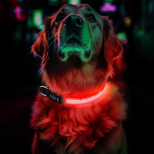 Leuchthalsband Hund Aufladbar, Einstellbare LED Hundehalsband Leuchtend mit 3 Lichtmodi in der Nacht Sicherheit für Kleine, Mittlere und Große Hunde Leuchthalsband, Rot, L Leuchthalsband Hund Aufladbar, Einstellbare LED Hundehalsband Leuchtend mit 3 Lichtmodi in der Nacht Sicherheit für Kleine, Mittlere und Große Hunde Leuchthalsband, Rot, L von CoCoDonut