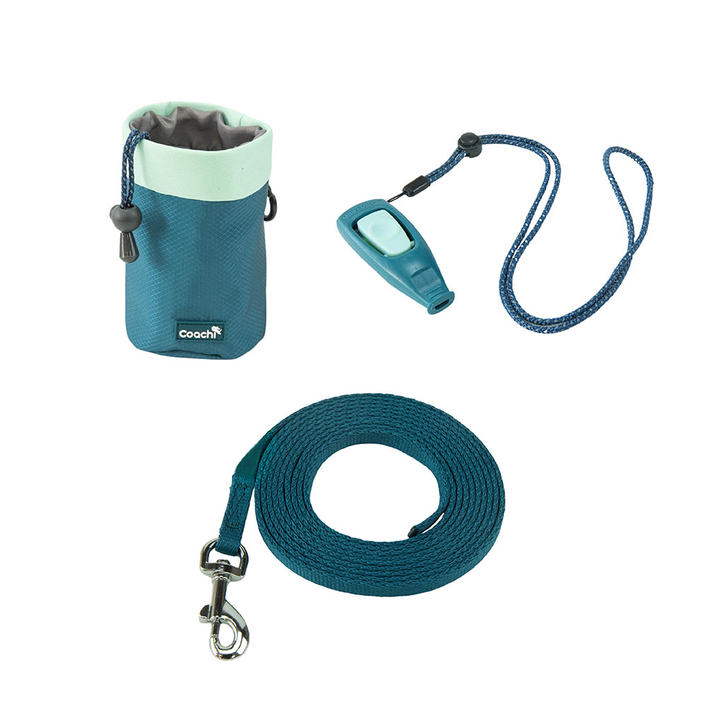 Coachi Puppy & Mini Starter Training Kit - Trainingskit mit Trainingsleine 2,5 m lang, 15 mm breit Coachi Puppy & Mini Starter Training Kit - Trainingskit mit Trainingsleine 2,5 m lang, 15 mm breit von Coachi