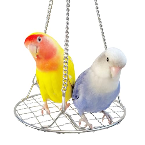 Vogelschaukel Spielzeug Edelstahl Sittich Schaukel Sitzstange für Kleine Vögel Papagei Spielzeug Hängende Vogelkäfig Zubehör zum Balancetraining für Wellensittiche, Papageien, Spatzen von Coalinker