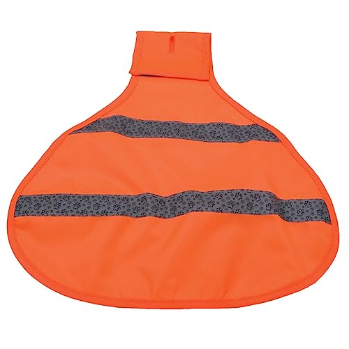 Coastal Warnweste, Neon Orange, groß von Coastal