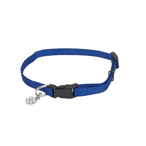 Coastal Pet Products DCP221BLU Nylon Pals Collar Coastal Pet Products DCP221BLU Nylon Pals Collar von Coastal