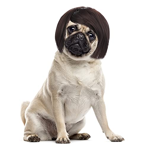 Cobee Lustige Hunde Katzen Cosplay Perücke,Haustier Perücke verstellbares Kostüm lustige Kopfbedeckung Kostüme Kopfbedeckung für kleine mittelgroße Hunde Perücken Halloween Weihnachten Dekorationen Cobee Lustige Hunde Katzen Cosplay Perücke,Haustier Perücke verstellbares Kostüm lustige Kopfbedeckung Kostüme Kopfbedeckung für kleine mittelgroße Hunde Perücken Halloween Weihnachten Dekorationen von Cobee