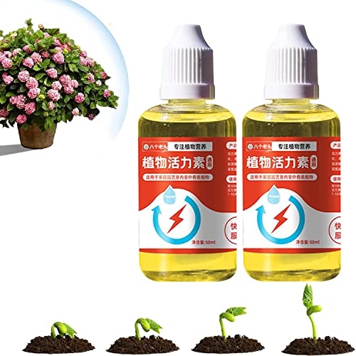 Cockjun Pflanzenwachstum Enhancer Ergänzung,Topf Pflanzenwachstum Enhancers,Plant Growth Enhancer,Take Root Bewurzelung Hormon Supplement für Pflanzen Wurzelwachstum,Root Stimulator (2PCS) von Cockjun