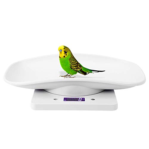 Cocoarm Digitale Waage, Kleine Haustierwaage für Katzen und Hunde, 10 Kg/1 G, Elektronische Küchenwaage für Papageien und Hamster, Hochpräziser Sensor mit Rutschfesten Pads Cocoarm Digitale Waage, Kleine Haustierwaage für Katzen und Hunde, 10 Kg/1 G, Elektronische Küchenwaage für Papageien und Hamster, Hochpräziser Sensor mit Rutschfesten Pads von Cocoarm