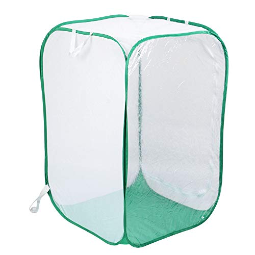 Cocoarm Faltbarer Insektenkäfig Collabsible Bug Cage Tragbarer Mesh Lebensraum mit Breiter Reißverschlussöffnung für Einfache Fütterung 60x60x90 cm Cocoarm Faltbarer Insektenkäfig Collabsible Bug Cage Tragbarer Mesh Lebensraum mit Breiter Reißverschlussöffnung für Einfache Fütterung 60x60x90 cm von Cocoarm