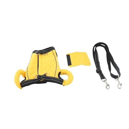 Cocoarm Verstellbares Hundehubgeschirr, Hundehilfegurt Hundestützgurt Tier-Mobilitätshilfe mit Reflektierenden Streifen Beinöffnungsdesign für Kleine und Mittelgroße Hunde (L) von Cocoarm